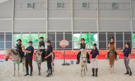 裝配式馬術(shù)場篷房助推馬術(shù)運(yùn)動(dòng)的發(fā)展